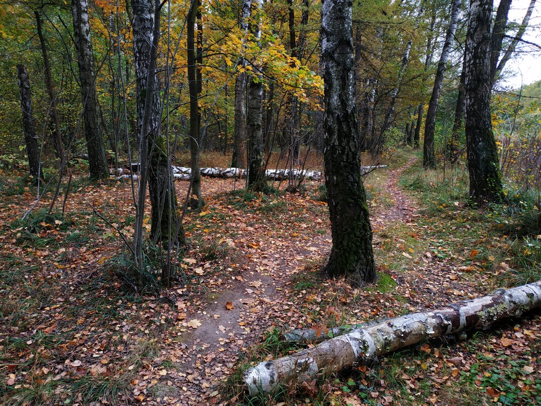 Осень не первоначальная - Андрей Лукьянов