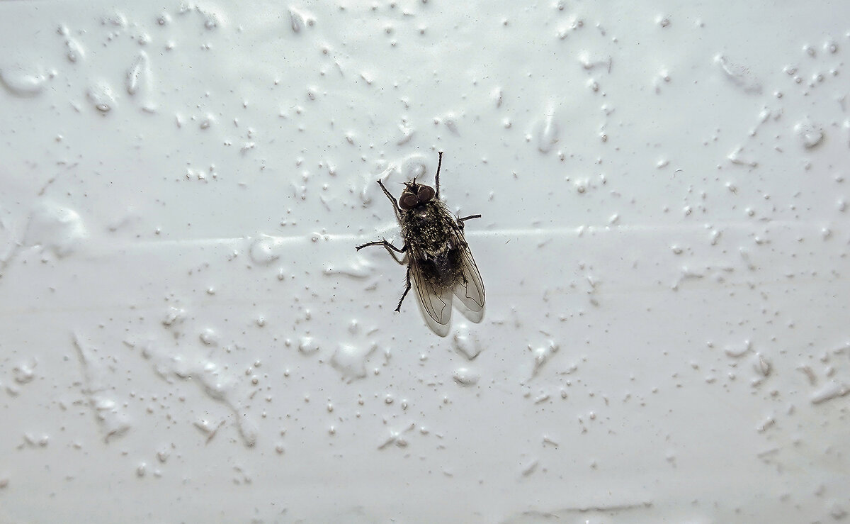 Пора спать - Валерий Иванович Пора спать - Валерий Иванович