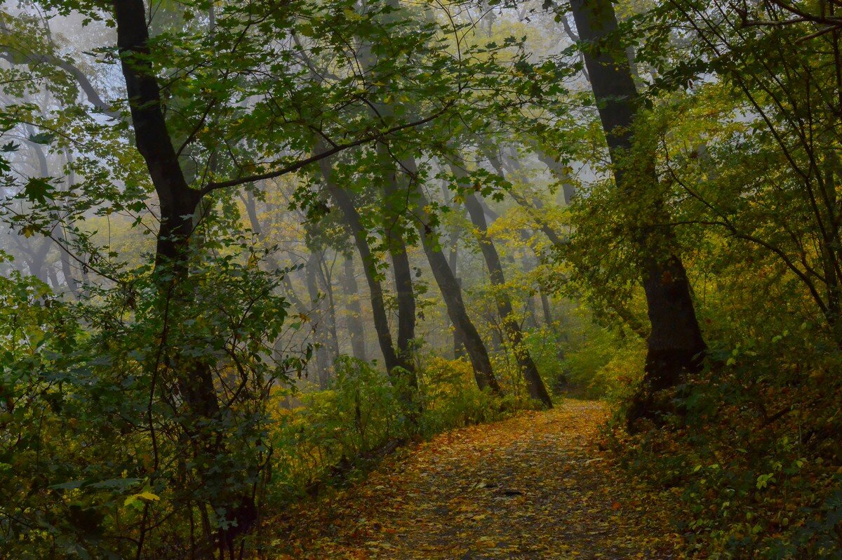 Дороги осенние..... - Юрий Цыплятников