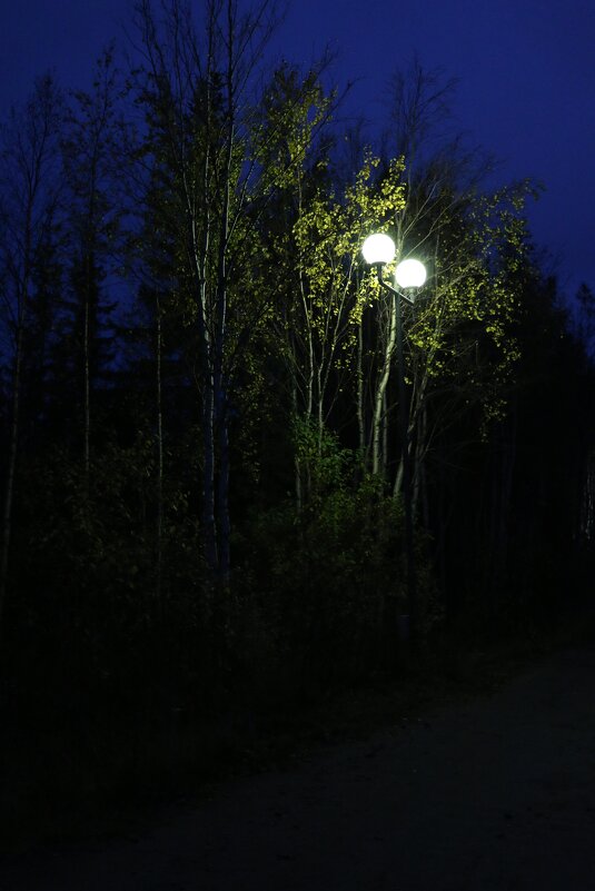 Осенние вечера - Ольга 