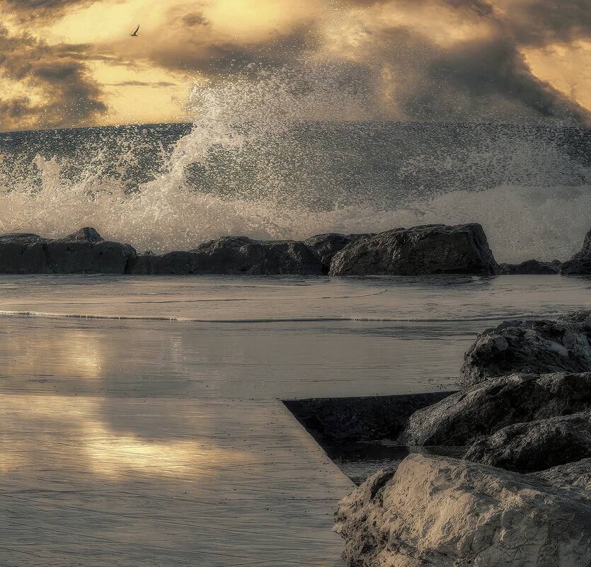 Волна. - Владимир Владимир