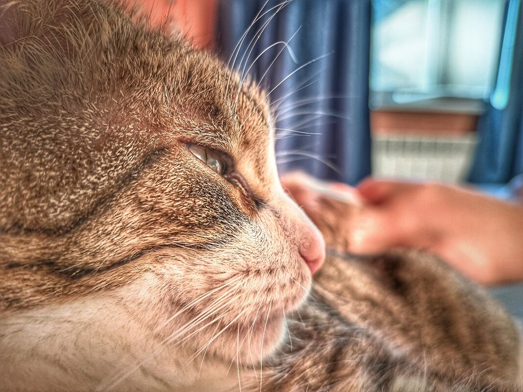 ... - ВЛАДИМИР 