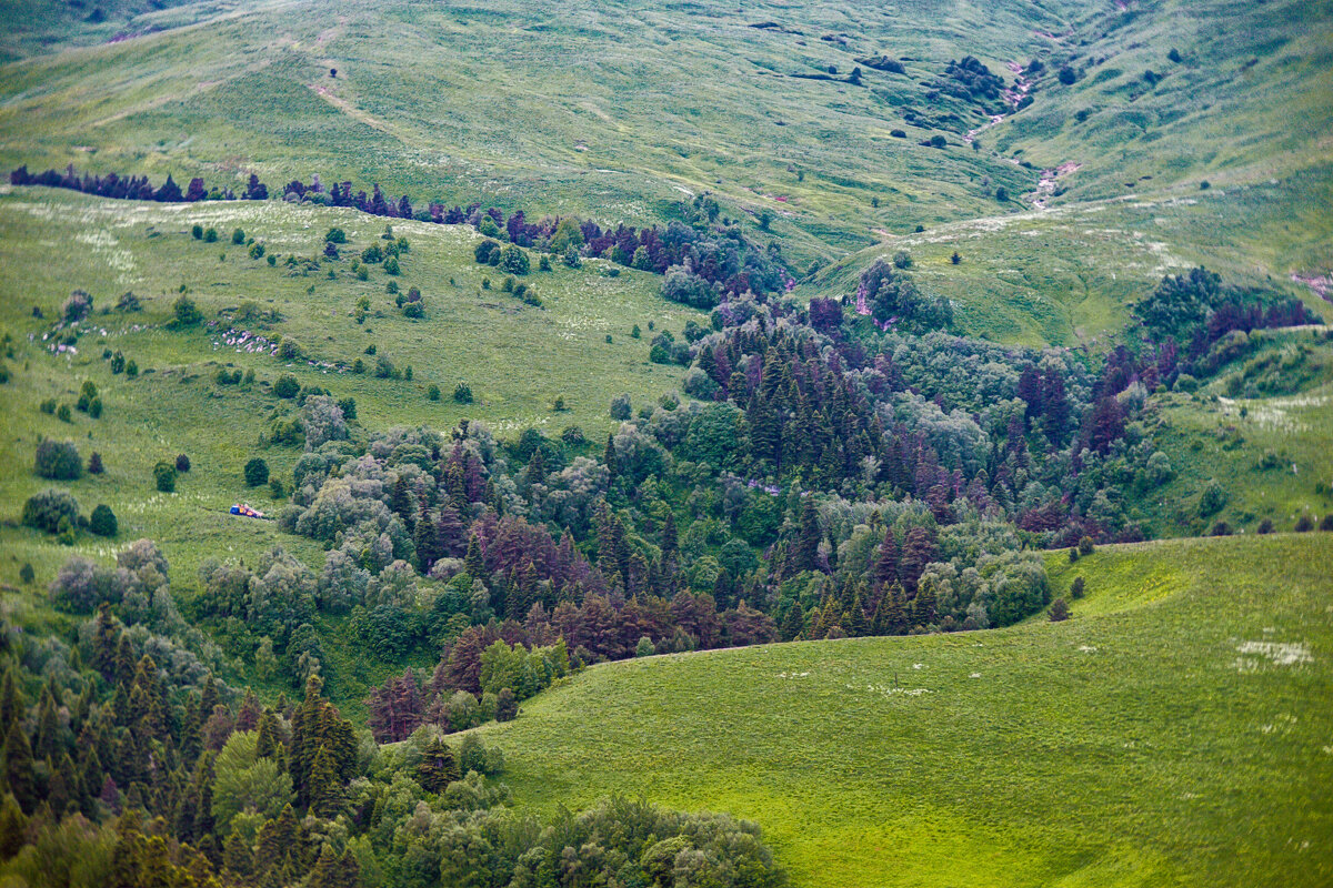 Альпийские луга - Игорь Хижняк