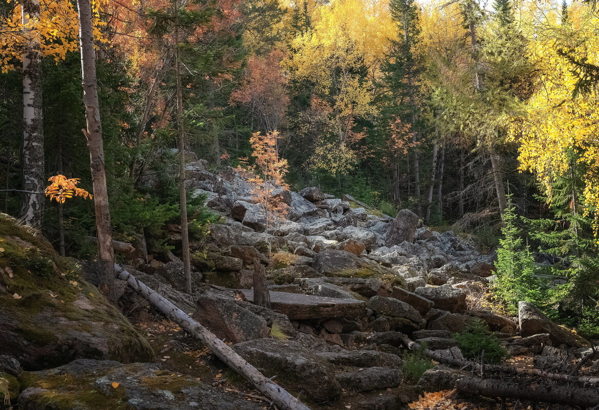 Таежная осень - Марина Фомина.