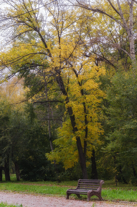 *** - Виктор Иванович Чернюк