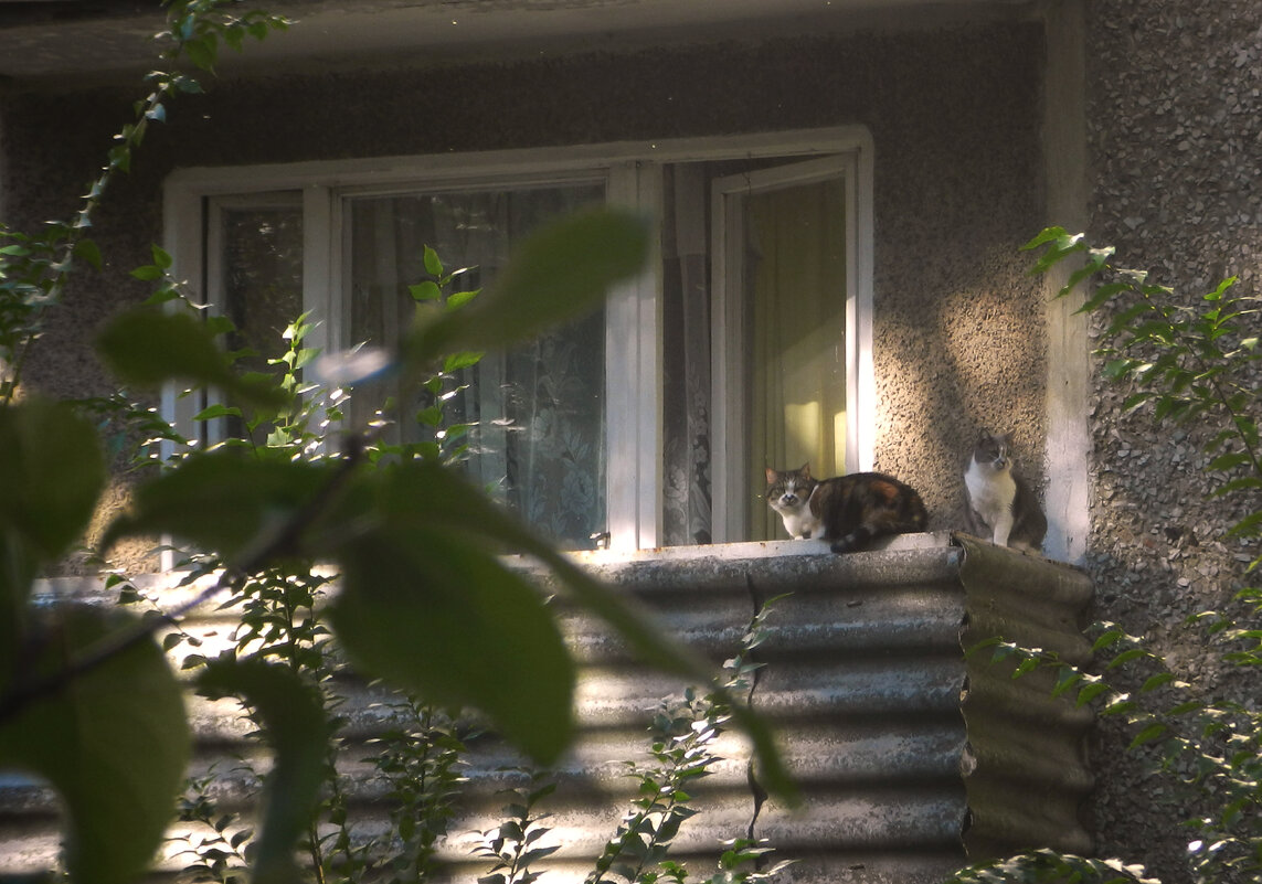 прогулка на балконе - Лера 