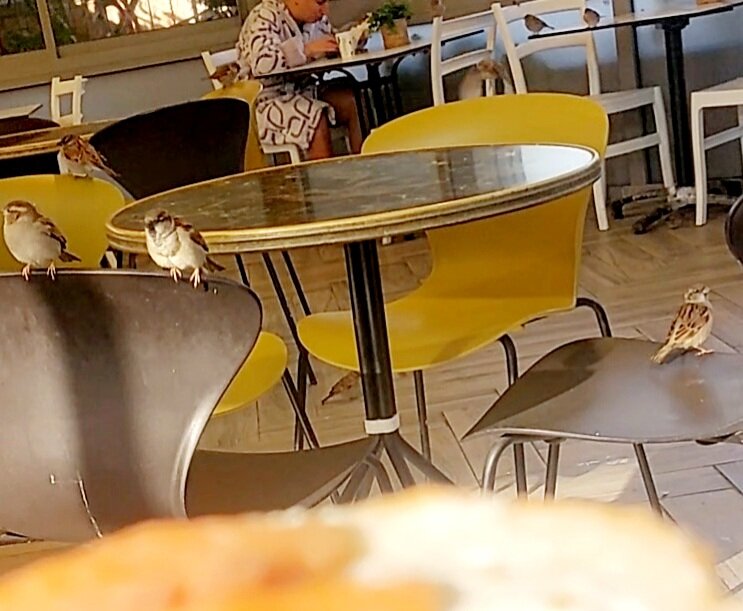 13  ОПЕН (437) - OPEN WAYS ALL