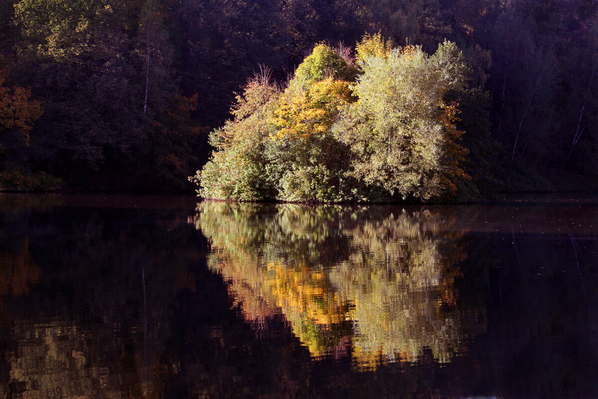 Царицыно 30 сентября - Михаил Бибичков