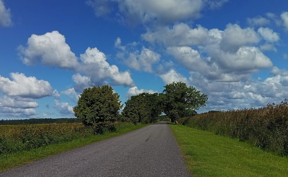 По дороге  с облаками  :) - Татьян@ Ивановна