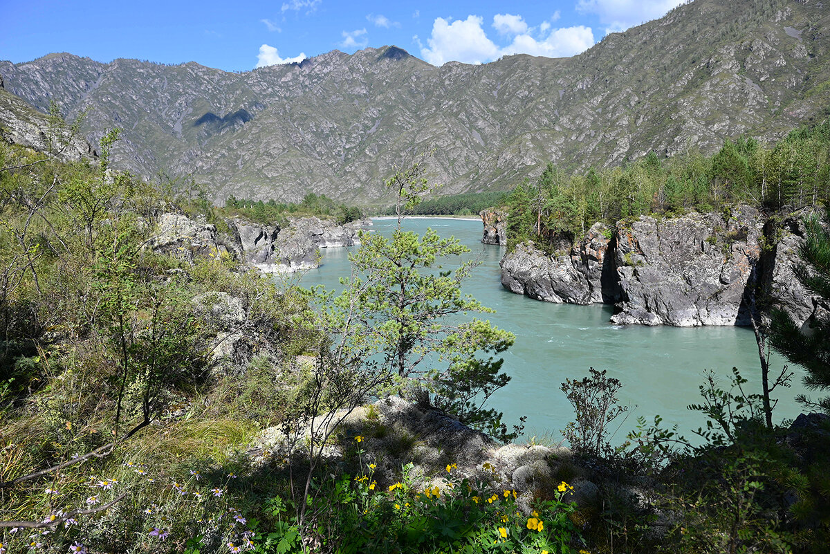 Катунь в скалах - Валерий Медведев Катунь в скалах - Валерий Медведев
