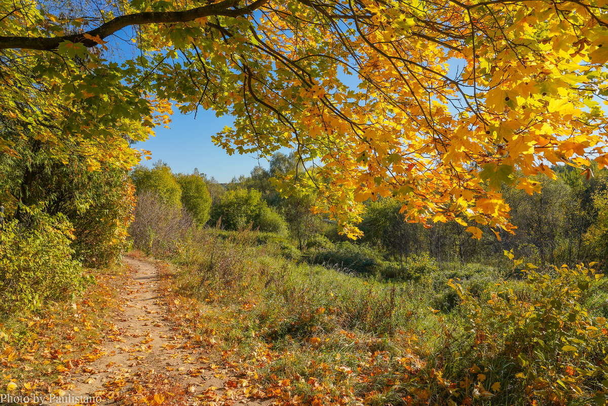 Палитра сентября... - Владимир Жданов