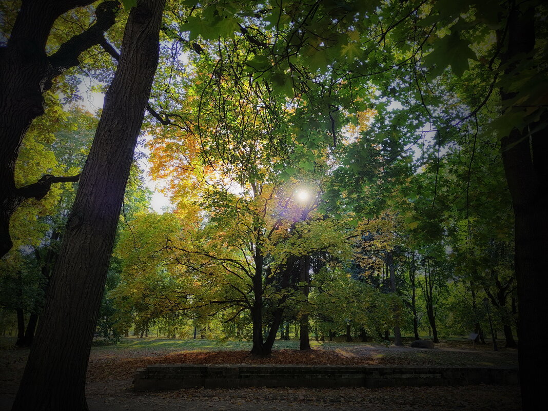 На тему Булата Окуджавы - Victor Vinocurov