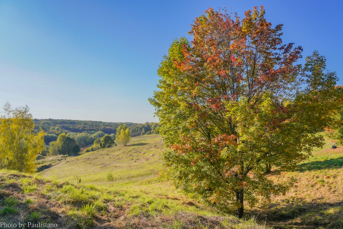 Сентябрь в Царицыно... - Владимир Жданов