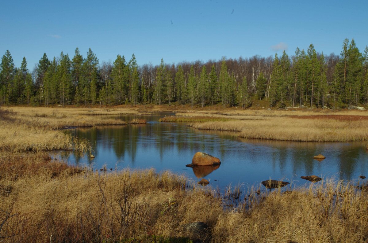 Осень Заполярья - Сергей Швечков