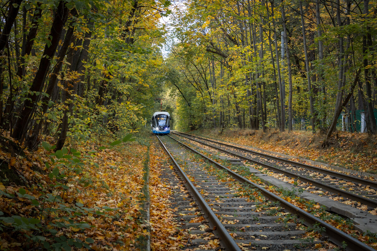 Трамвай № 25 - Олег Дорошенко