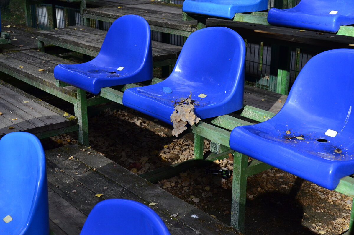 Что-то на осеннем. - Наталья Вязигина