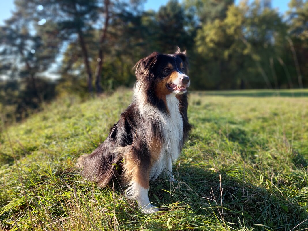 кто то мешает сЪемкам, но продолжаем позировать) - Артём 