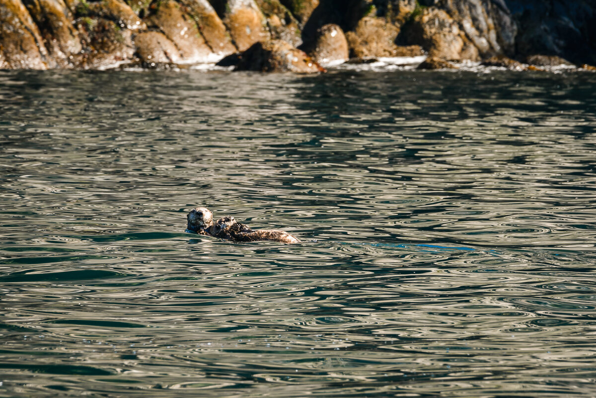 ... - Жора Житников