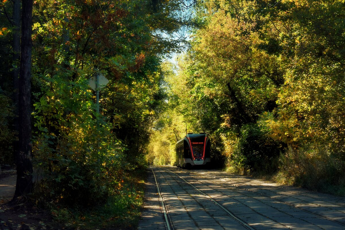Доехали до Октября. - Татьяна Помогалова