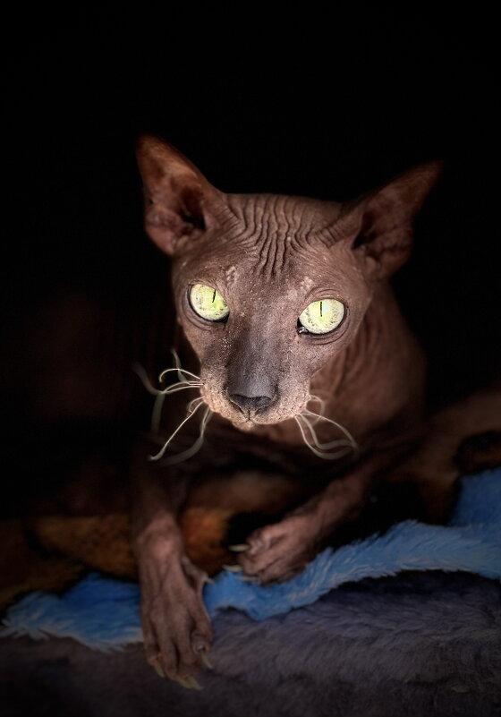 Памяти Сати - Андрей Зайцев