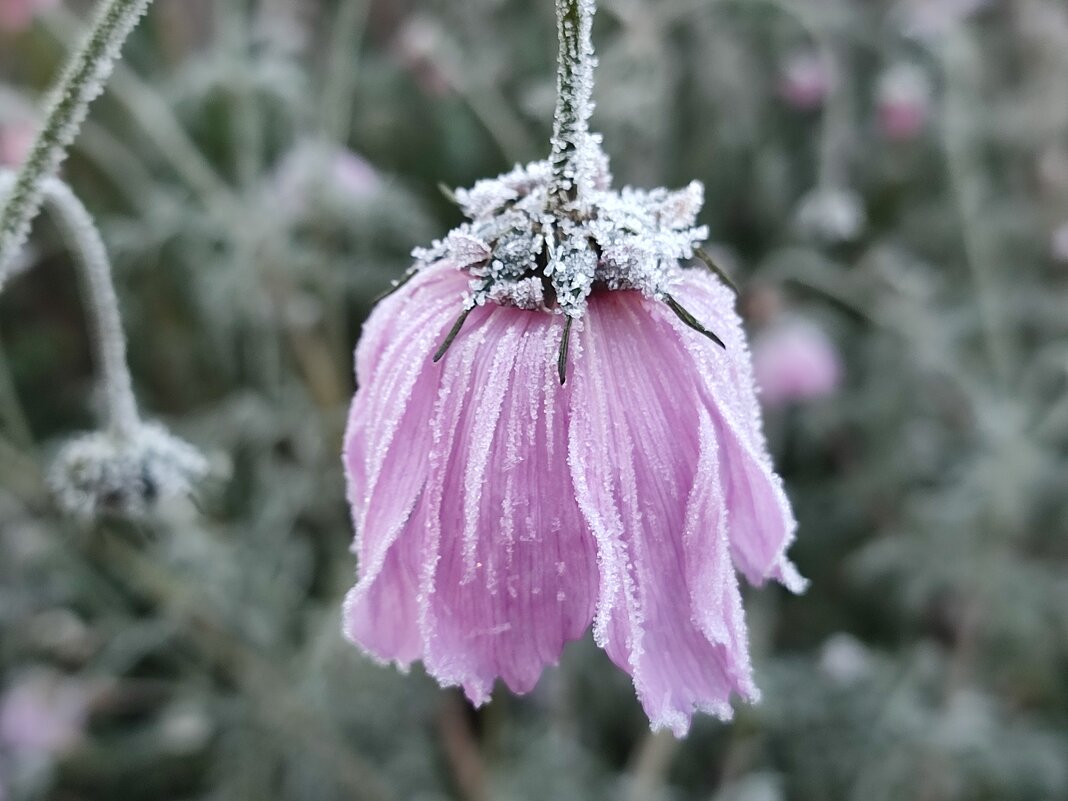 В октябре - Валентина Богатко 