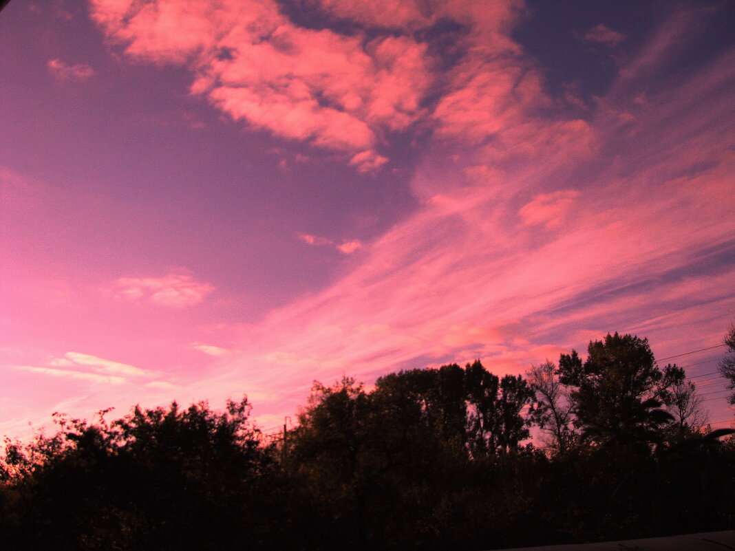 Красивое утро - Людмила Смородинская