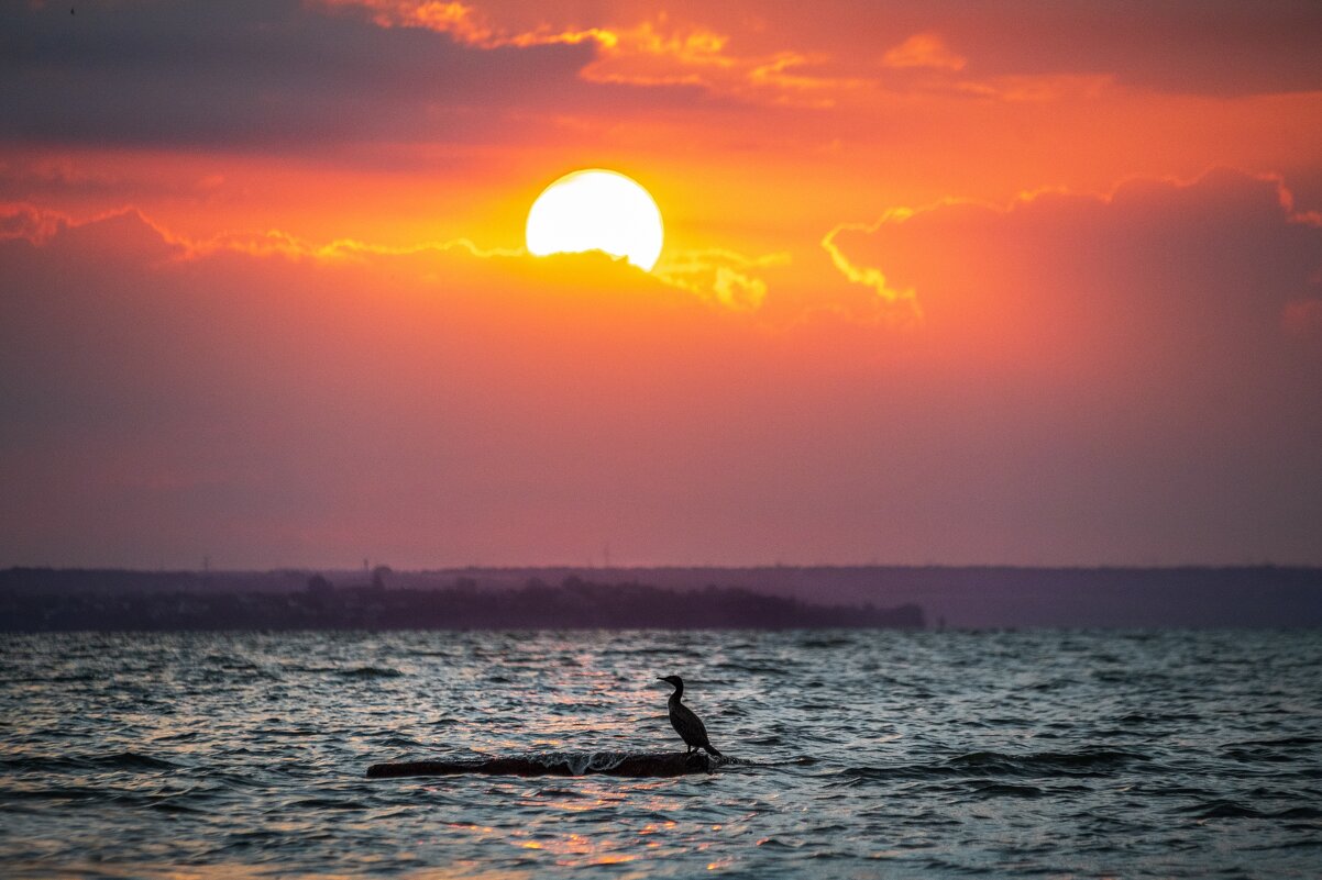 Встречая рассвет - Ирина 
