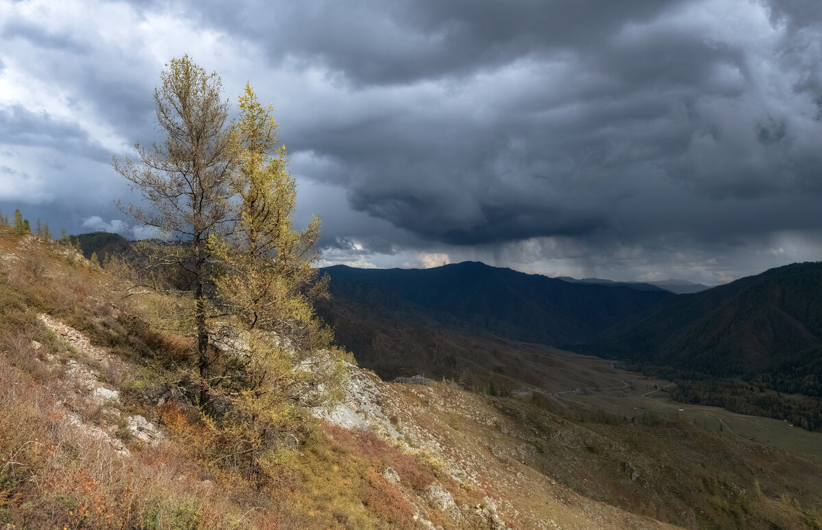 Осень на перевале - Марина Фомина.