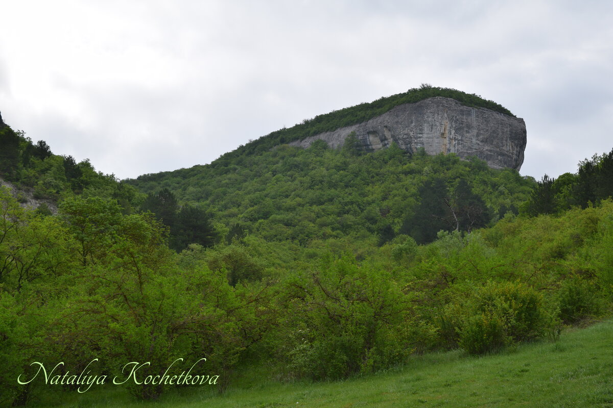 Природа Крыма - Amazing Cosmea