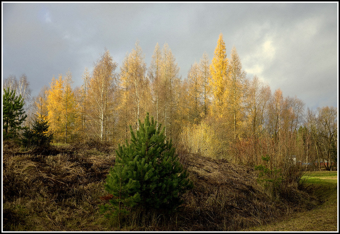 Золотая осень - Aleksandr Gal