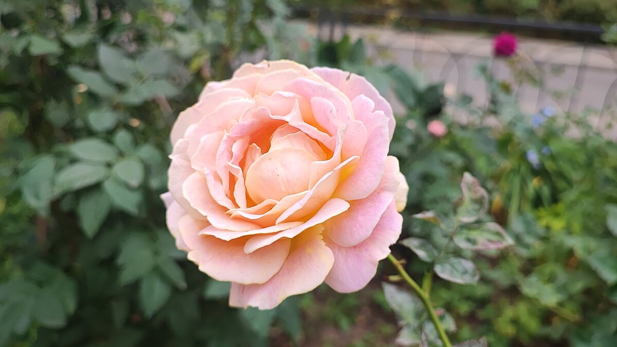 ,,, - Сергей Тимоновский