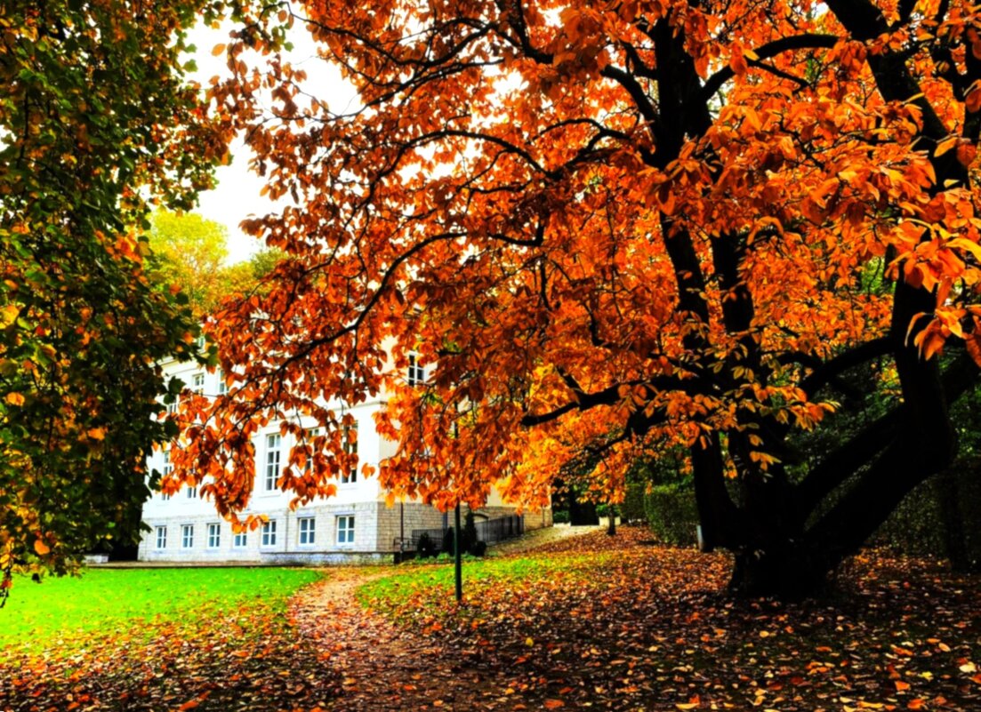 Дорожка к гостинице - Aida10 Дорожка к гостинице - Aida10