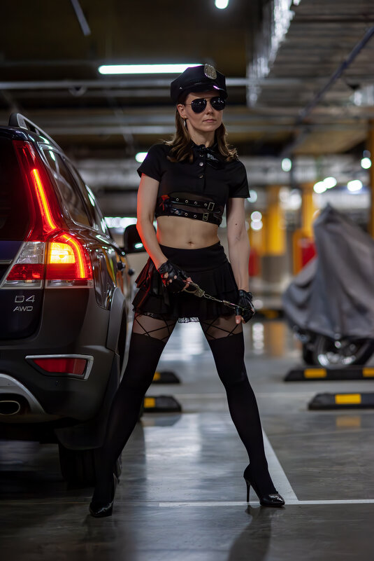 Полиция нравов - Владимир 