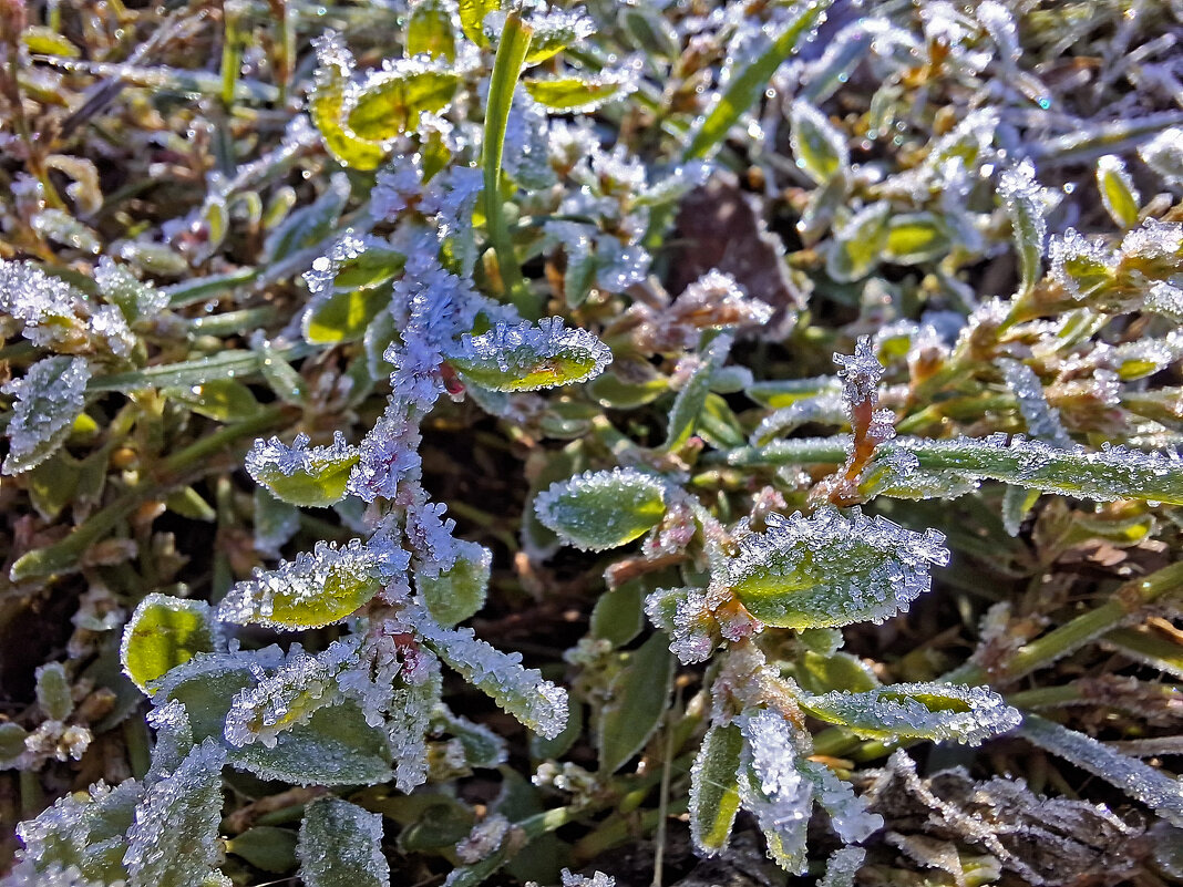 утро - ИРЭН@ . утро - ИРЭН@ .