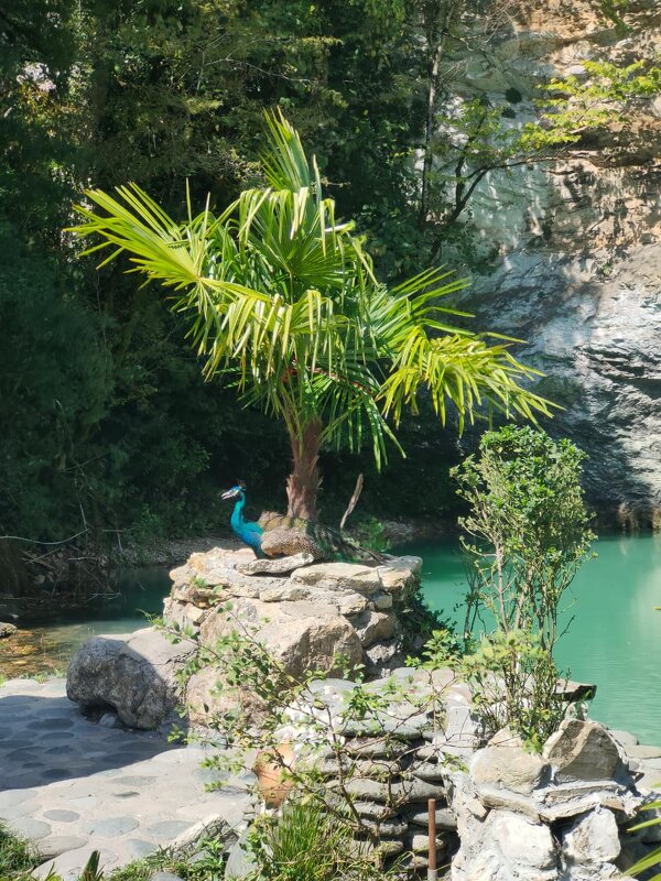 Абхазия. Голубое озеро - Ирэн Абхазия. Голубое озеро - Ирэн