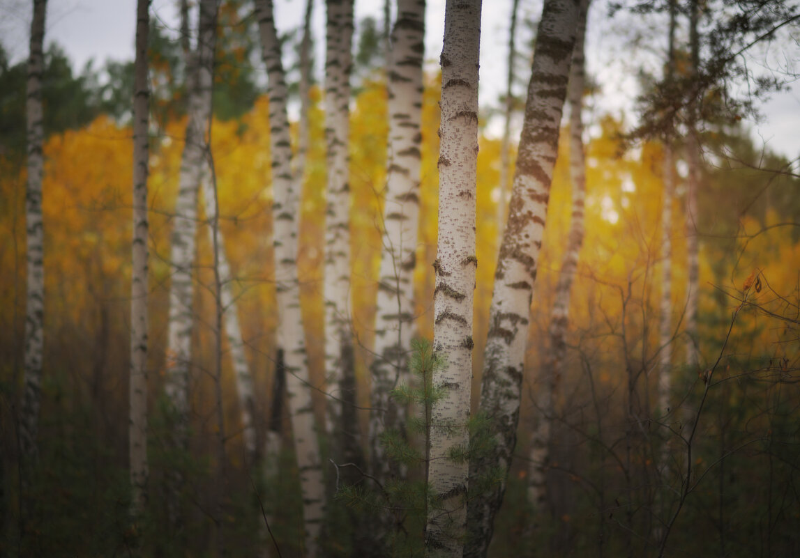 * - Александр Иванов