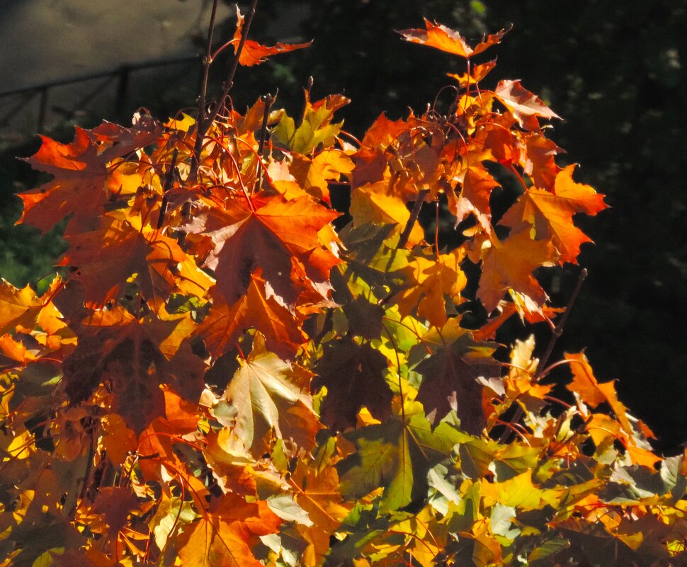 С 9 этажа... - Юрий Куликов