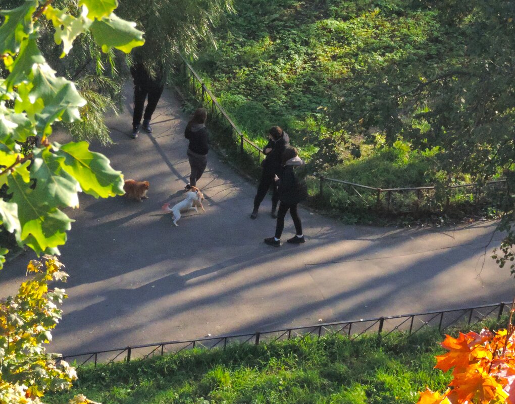 Гуляния :) - Юрий Куликов