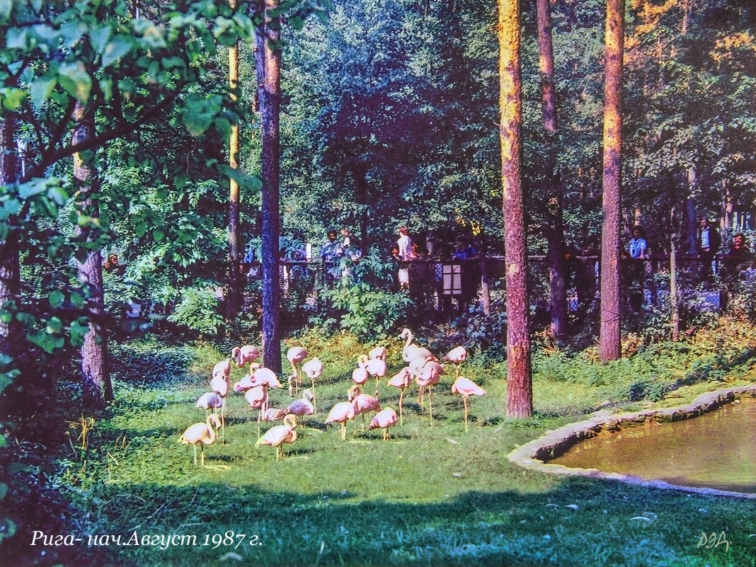 *** - Роланд Дубровский