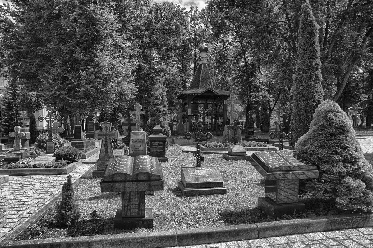 Введенский ставропигиальный мужской монастырь Оптина пустынь - Юрий Яньков