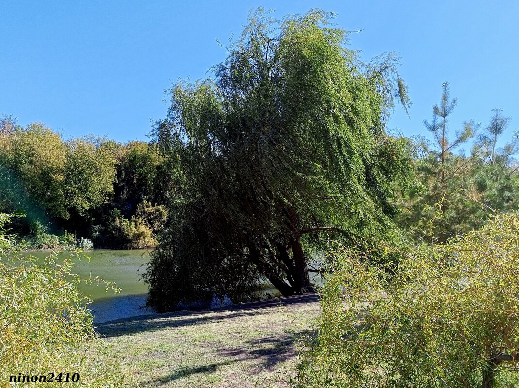Сентябрь в парке Октября - Нина Бутко