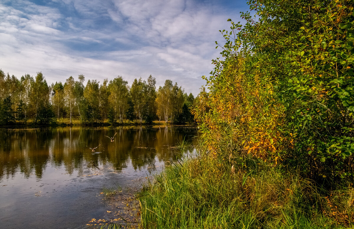 Бабье лето 10 - Андрей Дворников