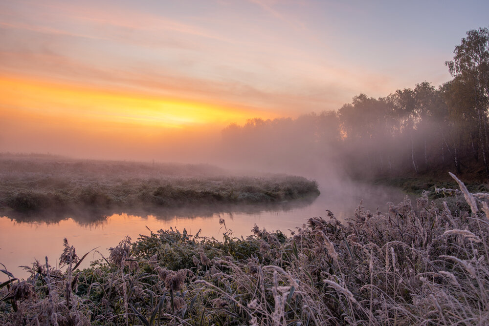прохладное утро - Алексей Чигвинцев