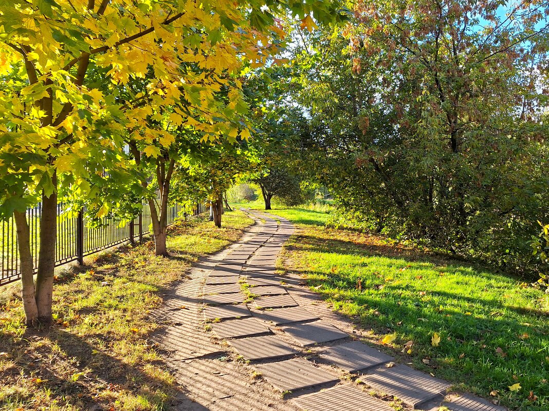 Осень - Наталья 