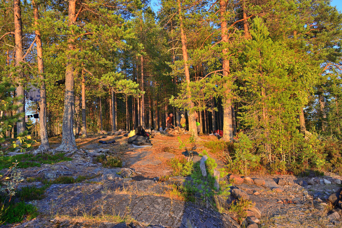 *** - Александр Хаецкий