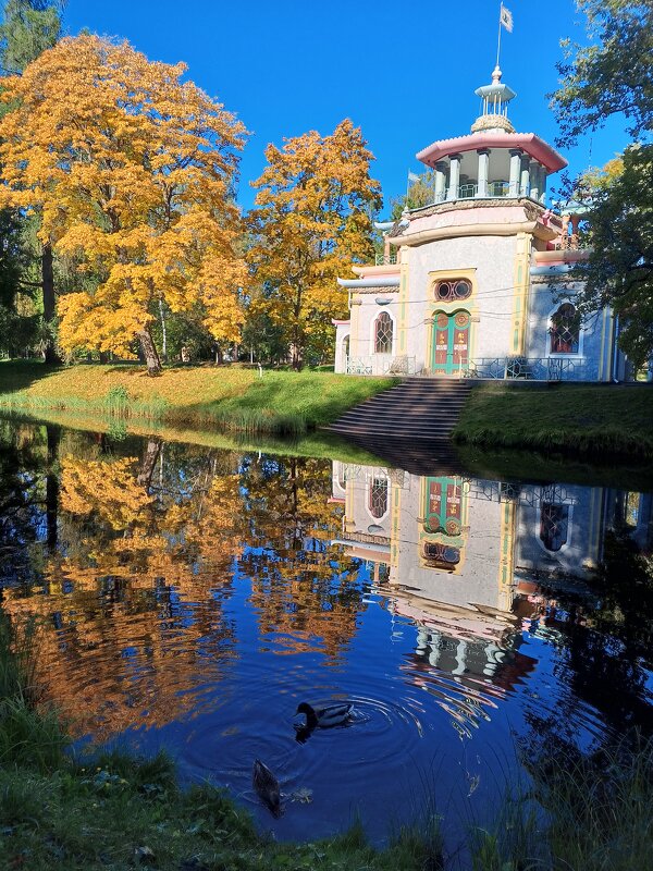 Осень - Сапсан 