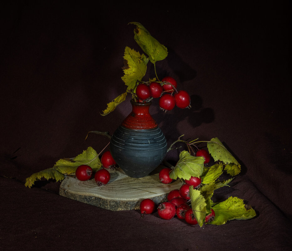 натюрморт с боярышником - Galina 