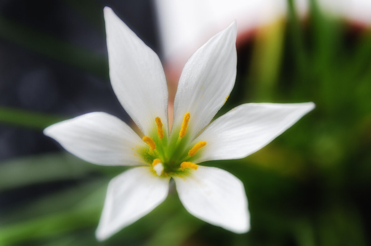 *** - Виктор Иванович Чернюк