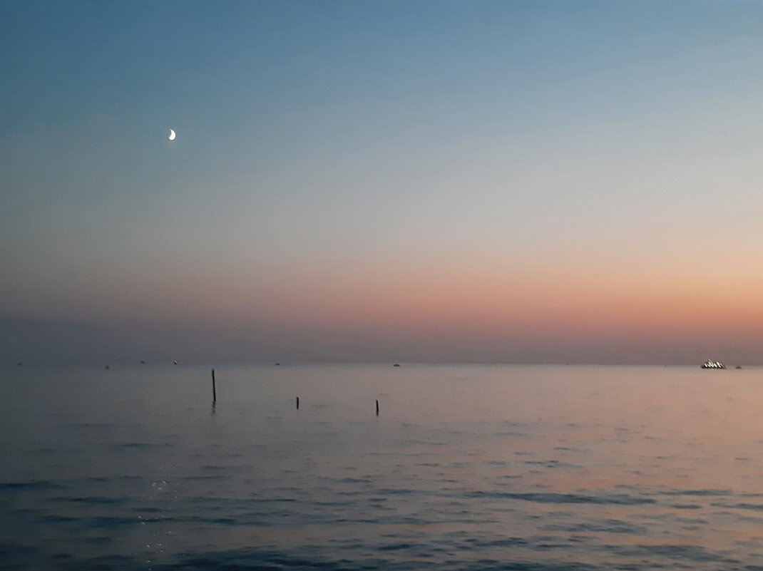 ЗАКАТ - Tata Wolf