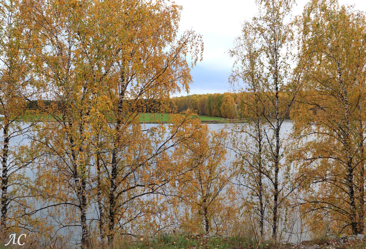 Шагает осень по Уралу - Любовь Сахарова
